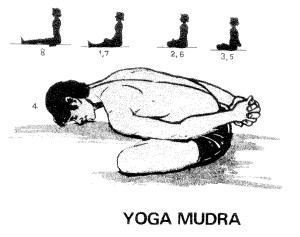 yoga mudra asana